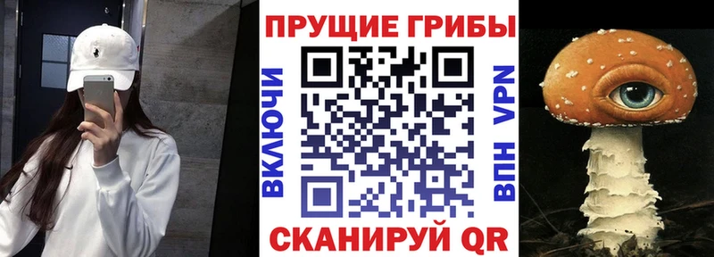 мега сайт  Петухово  Галлюциногенные грибы Magic Shrooms  сколько стоит 